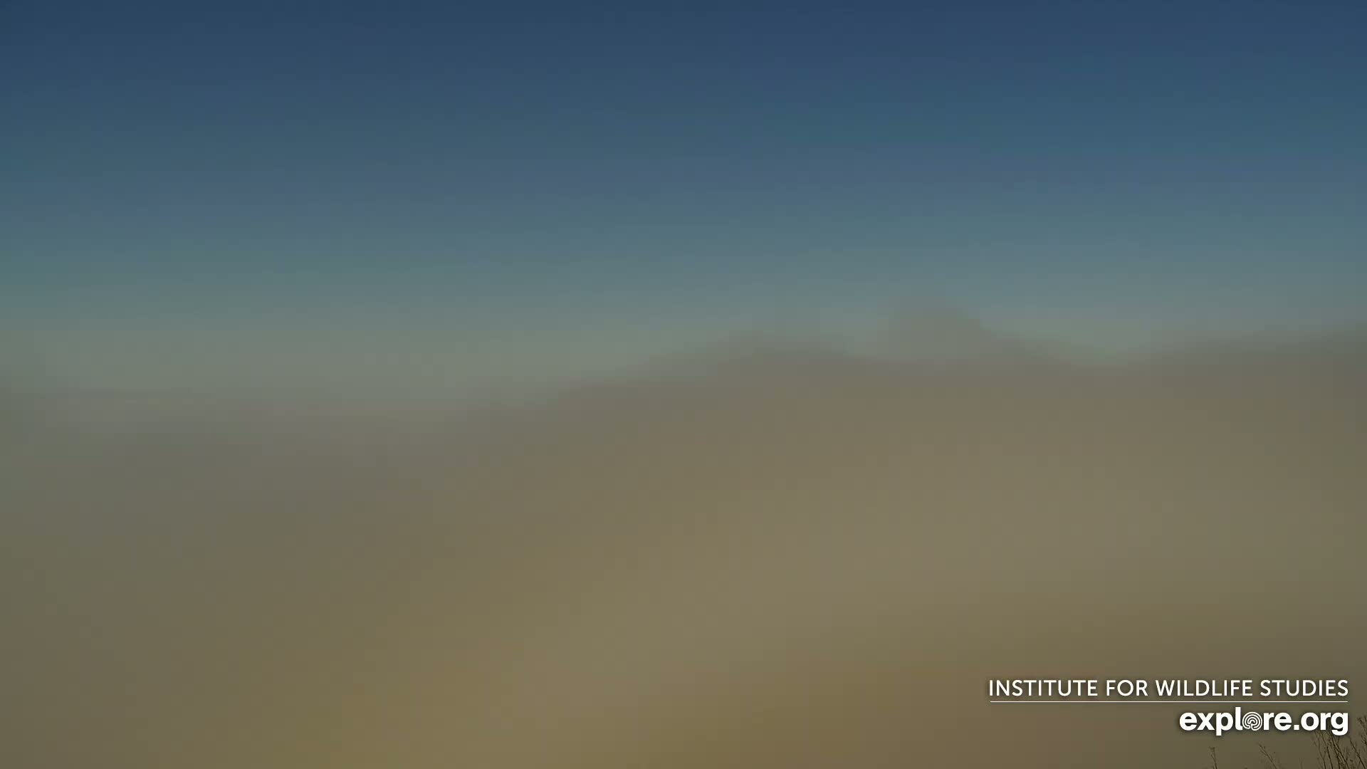 A hazy, dusty landscape stretches to a muted blue sky.