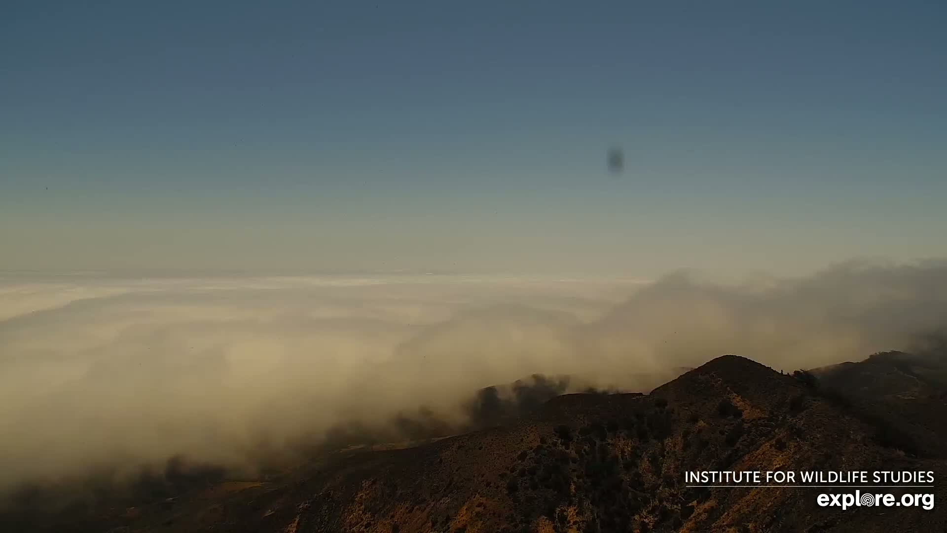 Santa Paula, Channel Islands & Pasific View from Santa Paula Peak & Last Change Trail Live Cam - Santa Paula, Ventura, California, USA