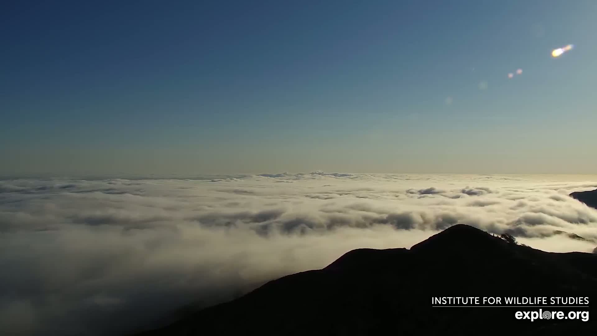 Santa Paula, Channel Islands & Pasific View from Santa Paula Peak & Last Change Trail Live Cam - Santa Paula, Ventura, California, USA