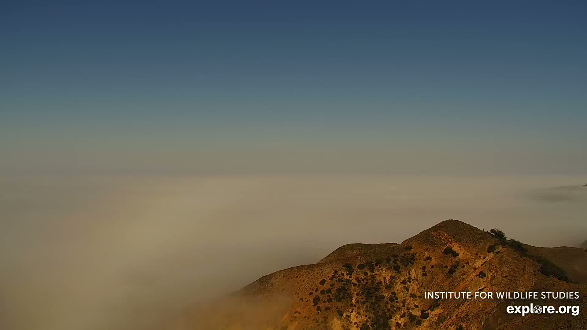 A tan-colored mountaintop, partially shrouded in fog, is visible under a clear, light-blue sky.