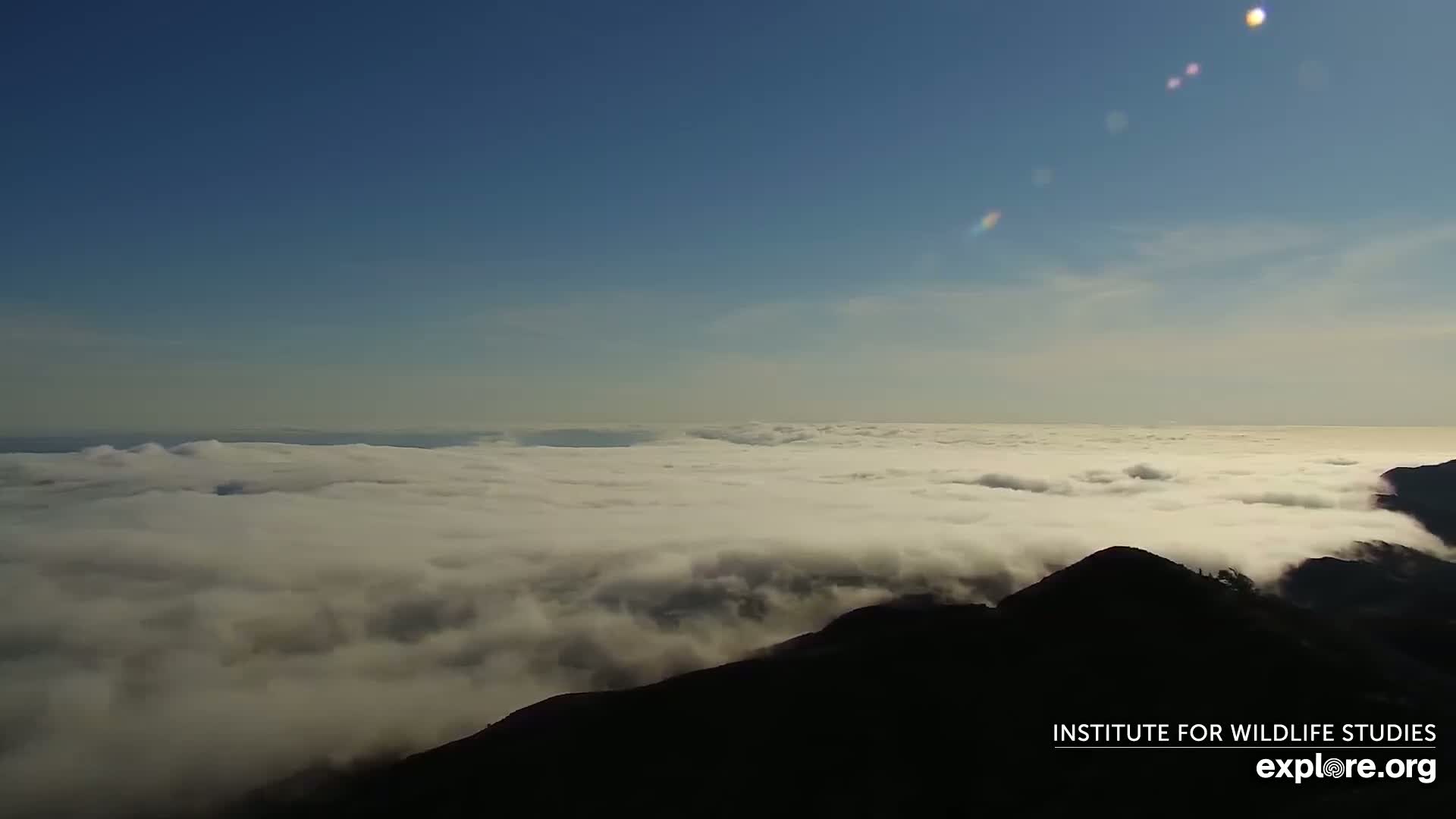Santa Paula, Channel Islands & Pasific View from Santa Paula Peak & Last Change Trail Live Cam - Santa Paula, Ventura, California, USA