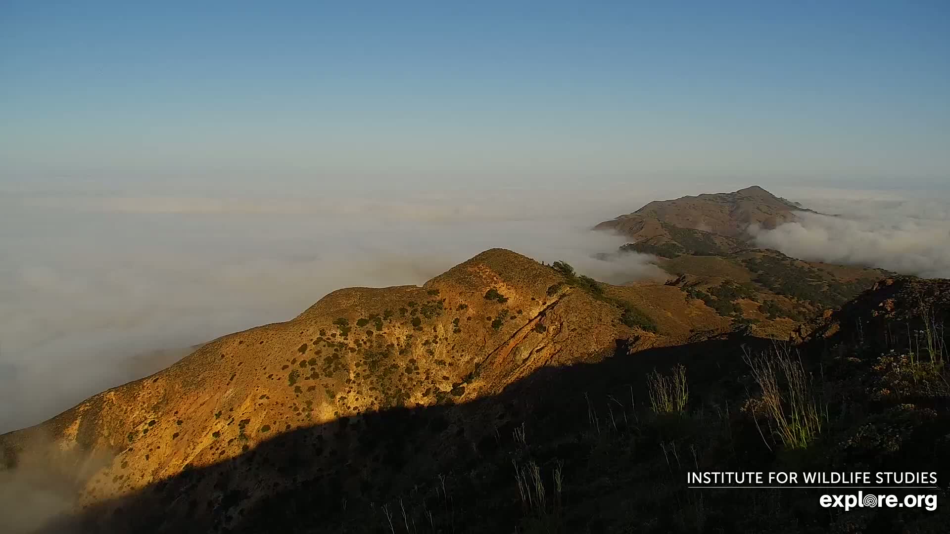 Santa Paula, Channel Islands & Pasific View from Santa Paula Peak & Last Change Trail Live Cam - Santa Paula, Ventura, California, USA