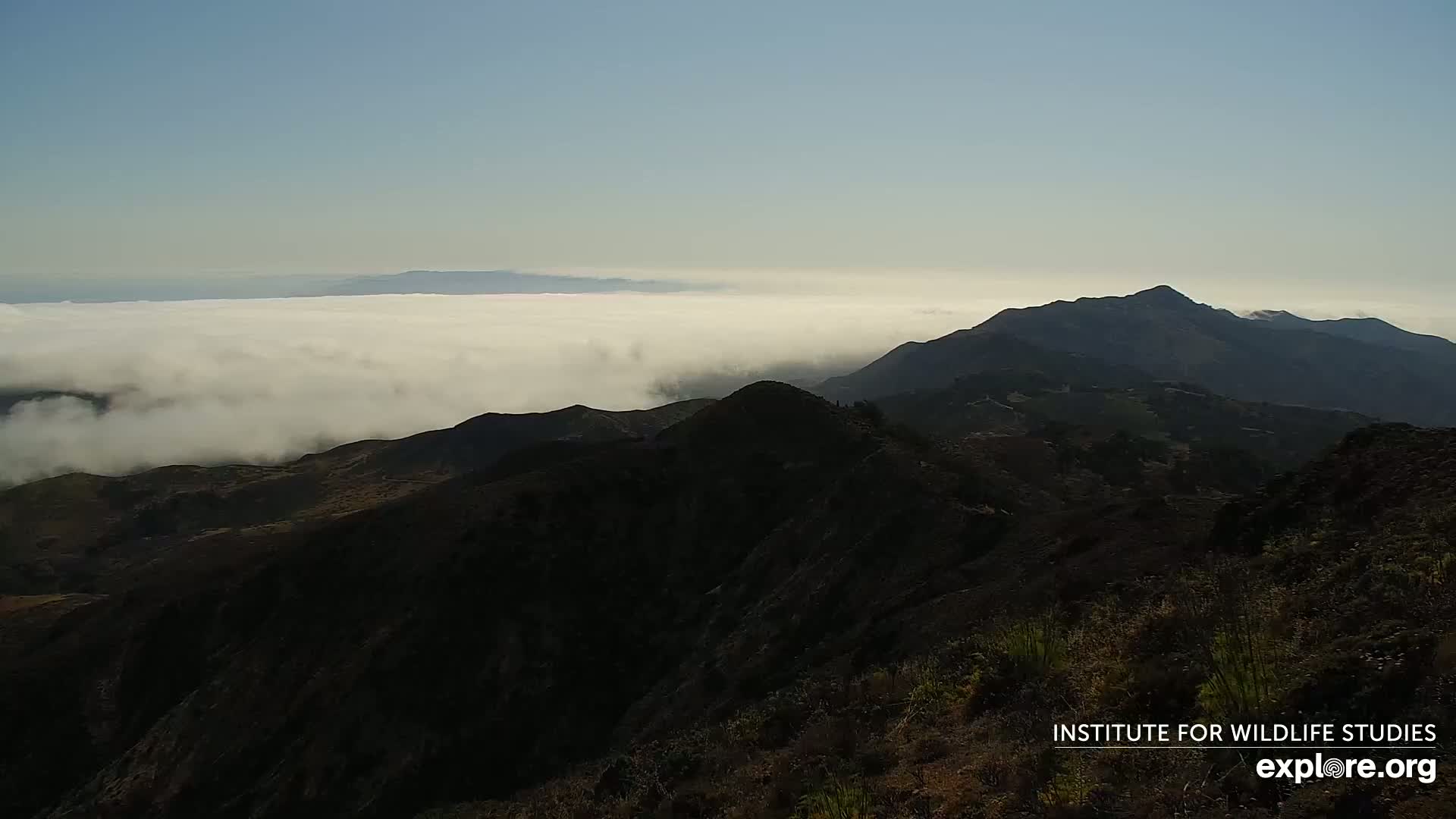 Santa Paula, Channel Islands & Pasific View from Santa Paula Peak & Last Change Trail Live Cam - Santa Paula, Ventura, California, USA