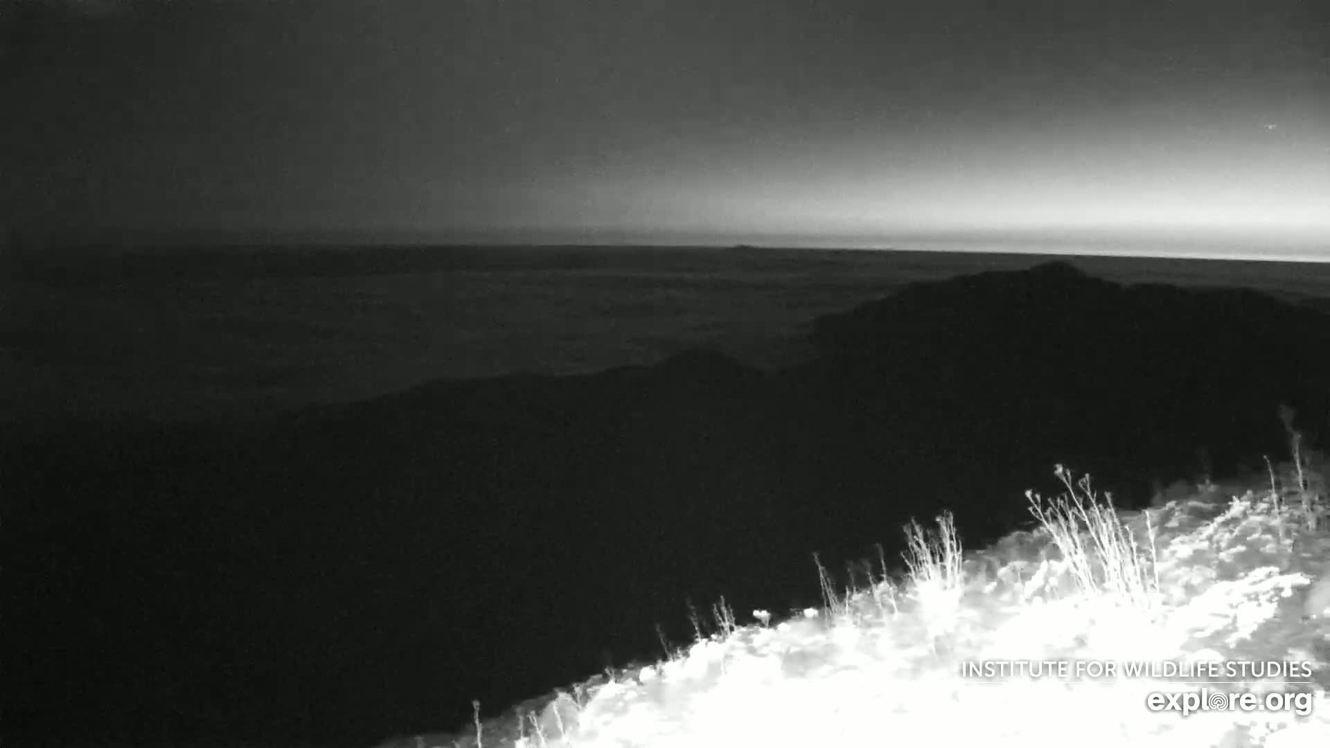 Santa Paula, Channel Islands & Pasific View from Santa Paula Peak & Last Change Trail Live Cam - Santa Paula, Ventura, California, USA