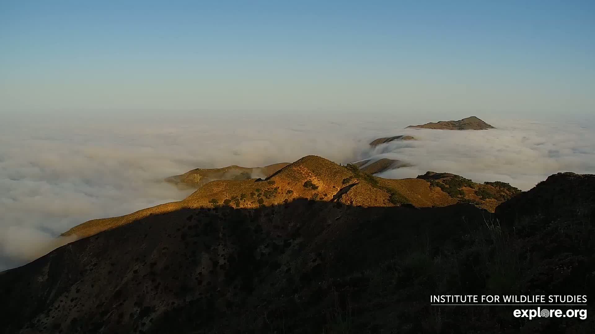 Santa Paula, Channel Islands & Pasific View from Santa Paula Peak & Last Change Trail Live Cam - Santa Paula, Ventura, California, USA