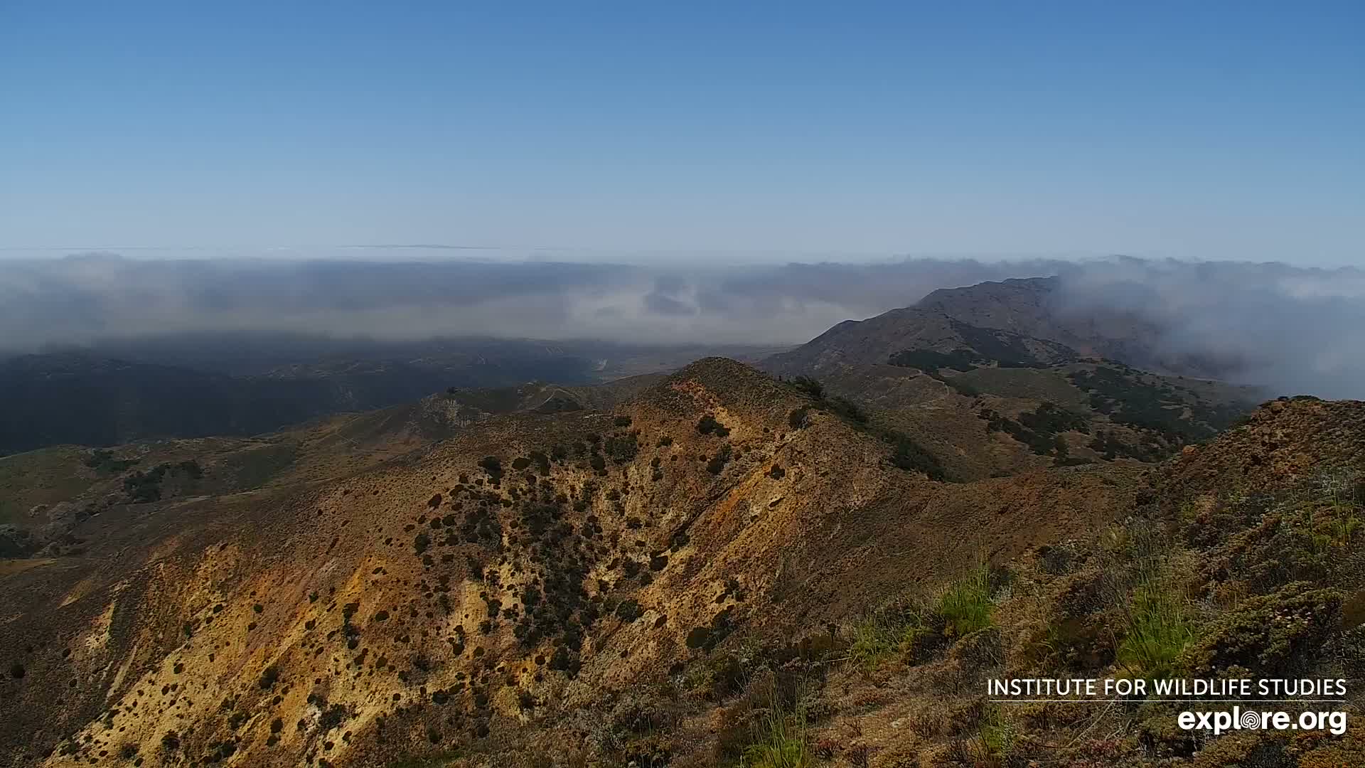 Santa Paula, Channel Islands & Pasific View from Santa Paula Peak & Last Change Trail Live Cam - Santa Paula, Ventura, California, USA