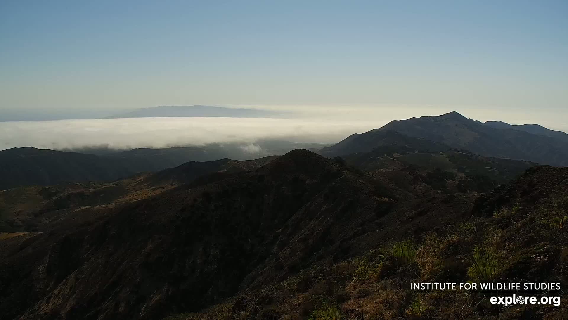 Santa Paula, Channel Islands & Pasific View from Santa Paula Peak & Last Change Trail Live Cam - Santa Paula, Ventura, California, USA