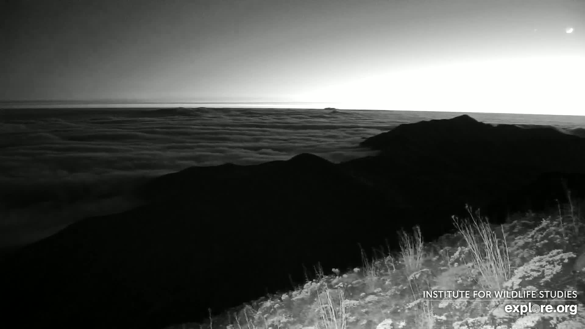 Santa Paula, Channel Islands & Pasific View from Santa Paula Peak & Last Change Trail Live Cam - Santa Paula, Ventura, California, USA