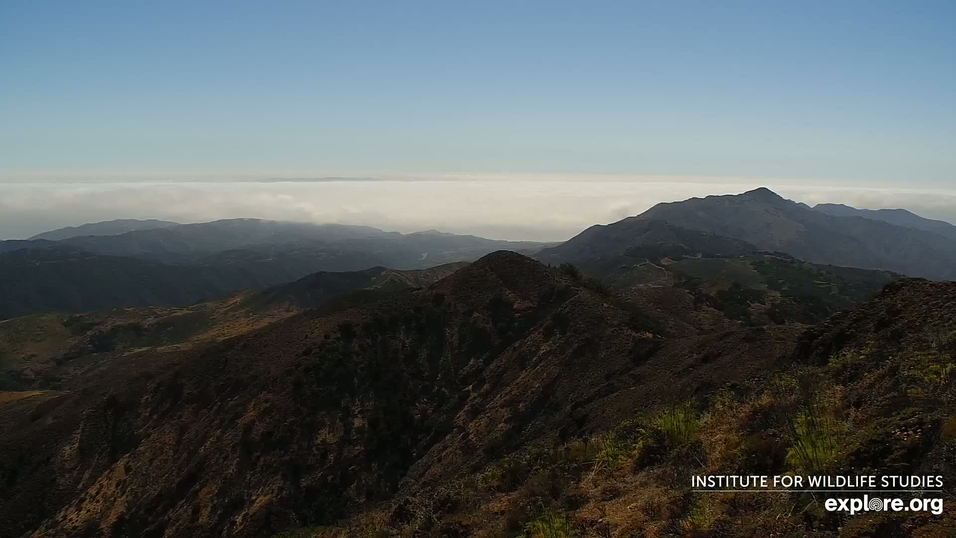 Santa Paula, Channel Islands & Pasific View from Santa Paula Peak & Last Change Trail Live Cam - Santa Paula, Ventura, California, USA