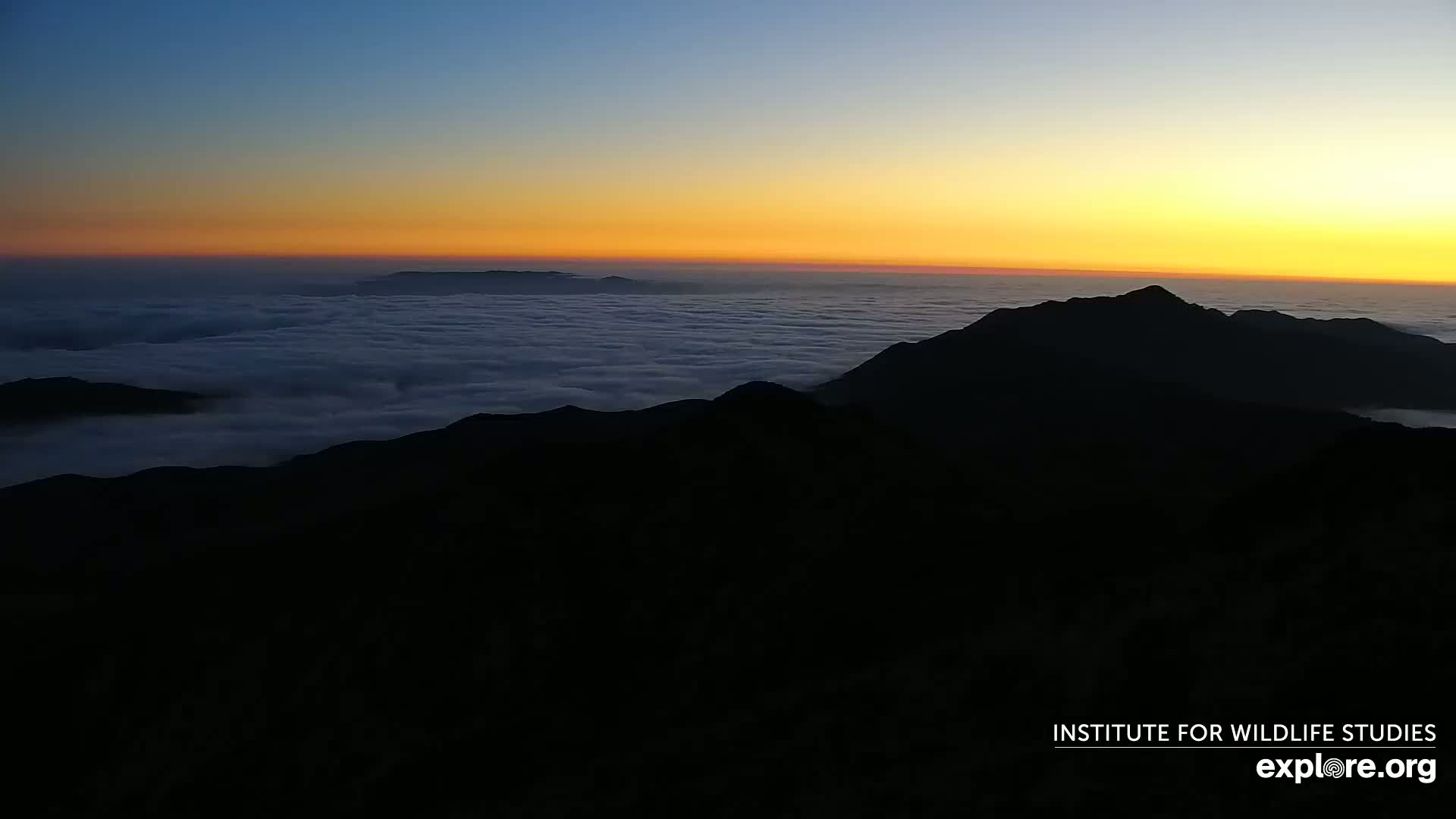 Santa Paula, Channel Islands & Pasific View from Santa Paula Peak & Last Change Trail Live Cam - Santa Paula, Ventura, California, USA