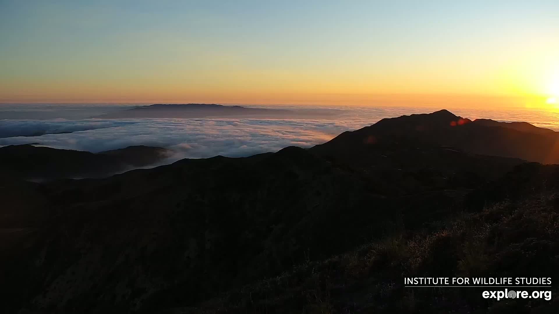 Santa Paula, Channel Islands & Pasific View from Santa Paula Peak & Last Change Trail Live Cam - Santa Paula, Ventura, California, USA
