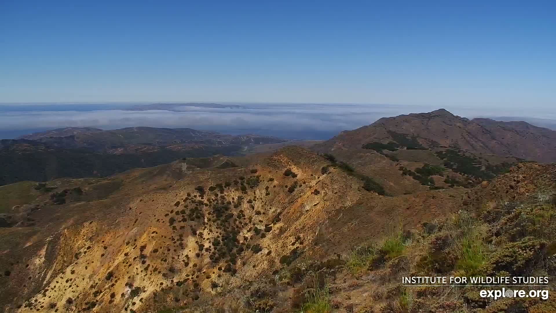 Santa Paula, Channel Islands & Pasific View from Santa Paula Peak & Last Change Trail Live Cam - Santa Paula, Ventura, California, USA