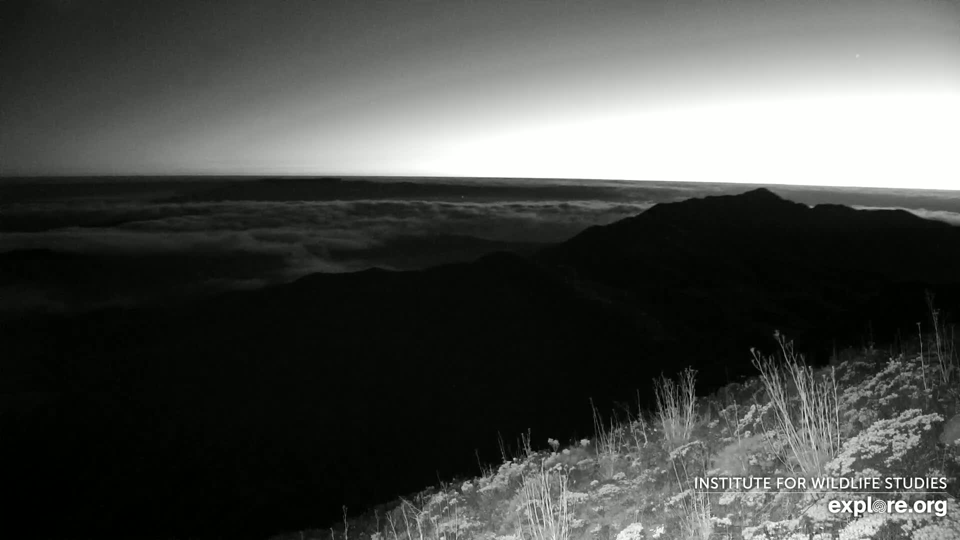 Santa Paula, Channel Islands & Pasific View from Santa Paula Peak & Last Change Trail Live Cam - Santa Paula, Ventura, California, USA