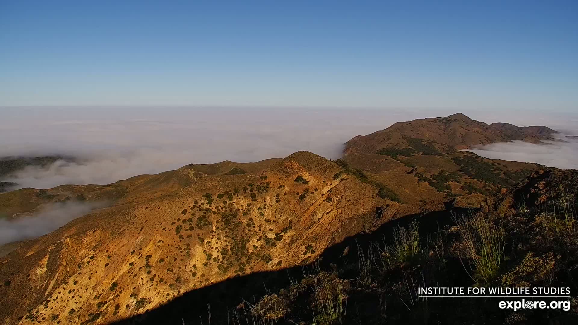 Santa Paula, Channel Islands & Pasific View from Santa Paula Peak & Last Change Trail Live Cam - Santa Paula, Ventura, California, USA