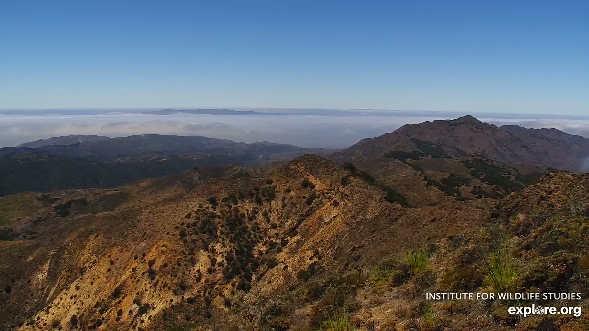 Santa Paula, Channel Islands & Pasific View from Santa Paula Peak & Last Change Trail Live Cam - Santa Paula, Ventura, California, USA