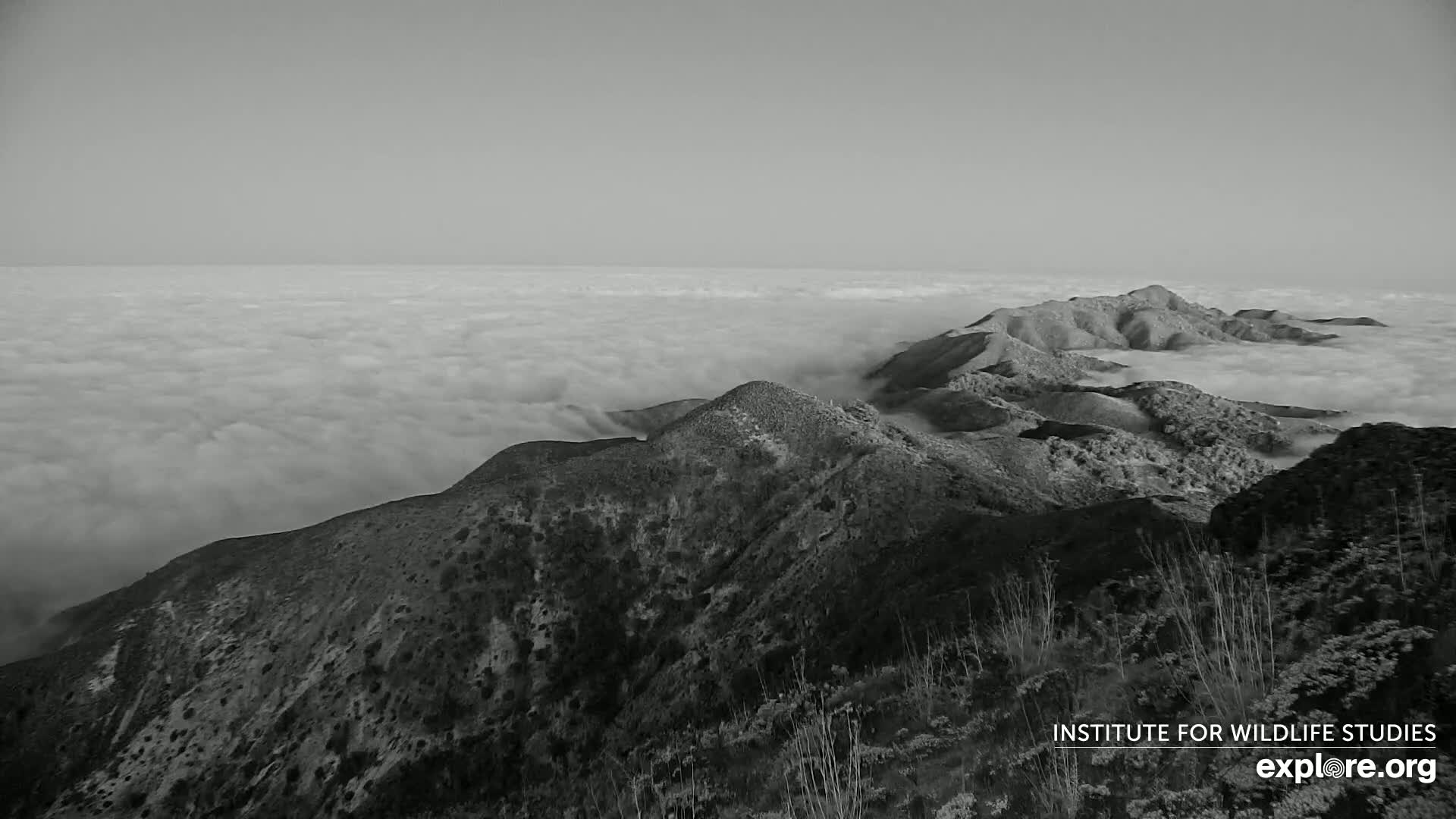 Santa Paula, Channel Islands & Pasific View from Santa Paula Peak & Last Change Trail Live Cam - Santa Paula, Ventura, California, USA