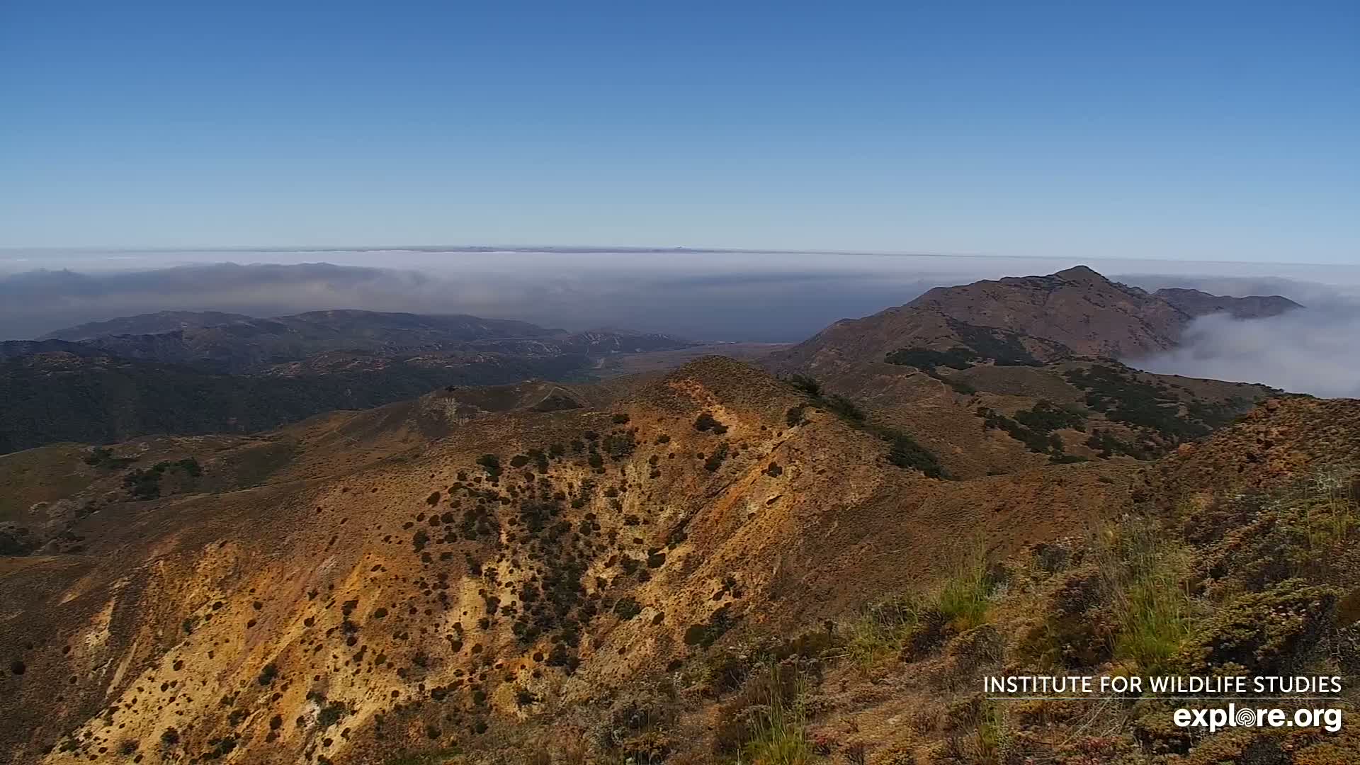 Santa Paula, Channel Islands & Pasific View from Santa Paula Peak & Last Change Trail Live Cam - Santa Paula, Ventura, California, USA