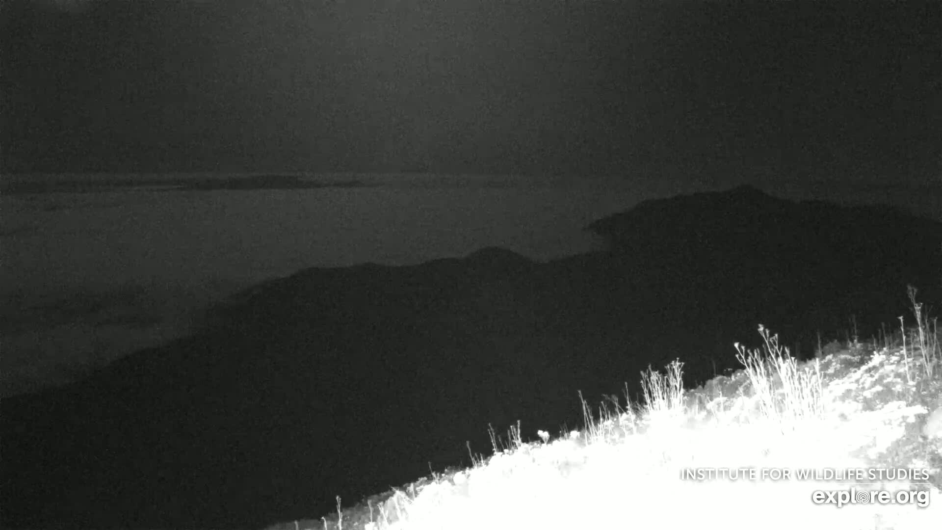 Santa Paula, Channel Islands & Pasific View from Santa Paula Peak & Last Change Trail Live Cam - Santa Paula, Ventura, California, USA