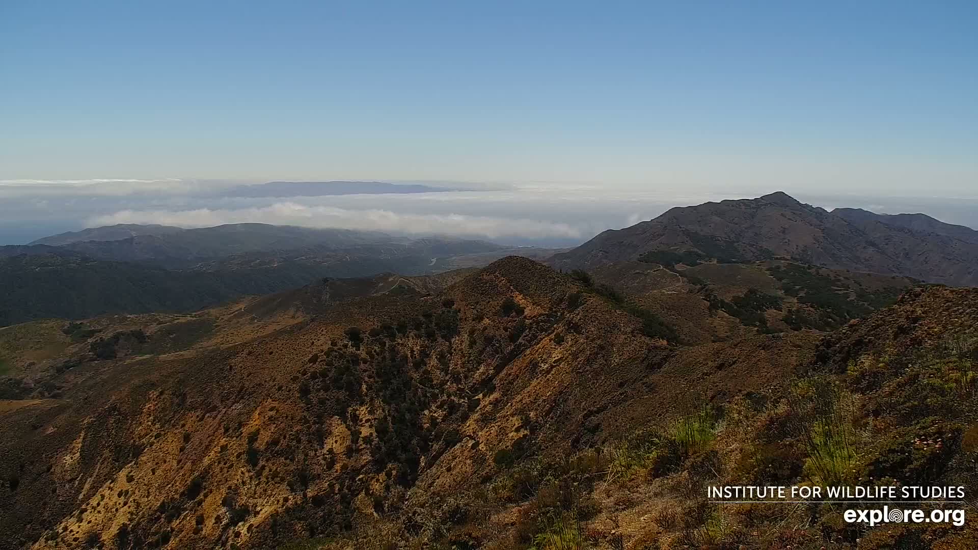 Santa Paula, Channel Islands & Pasific View from Santa Paula Peak & Last Change Trail Live Cam - Santa Paula, Ventura, California, USA