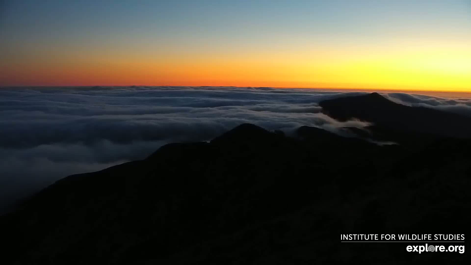 Santa Paula, Channel Islands & Pasific View from Santa Paula Peak & Last Change Trail Live Cam - Santa Paula, Ventura, California, USA