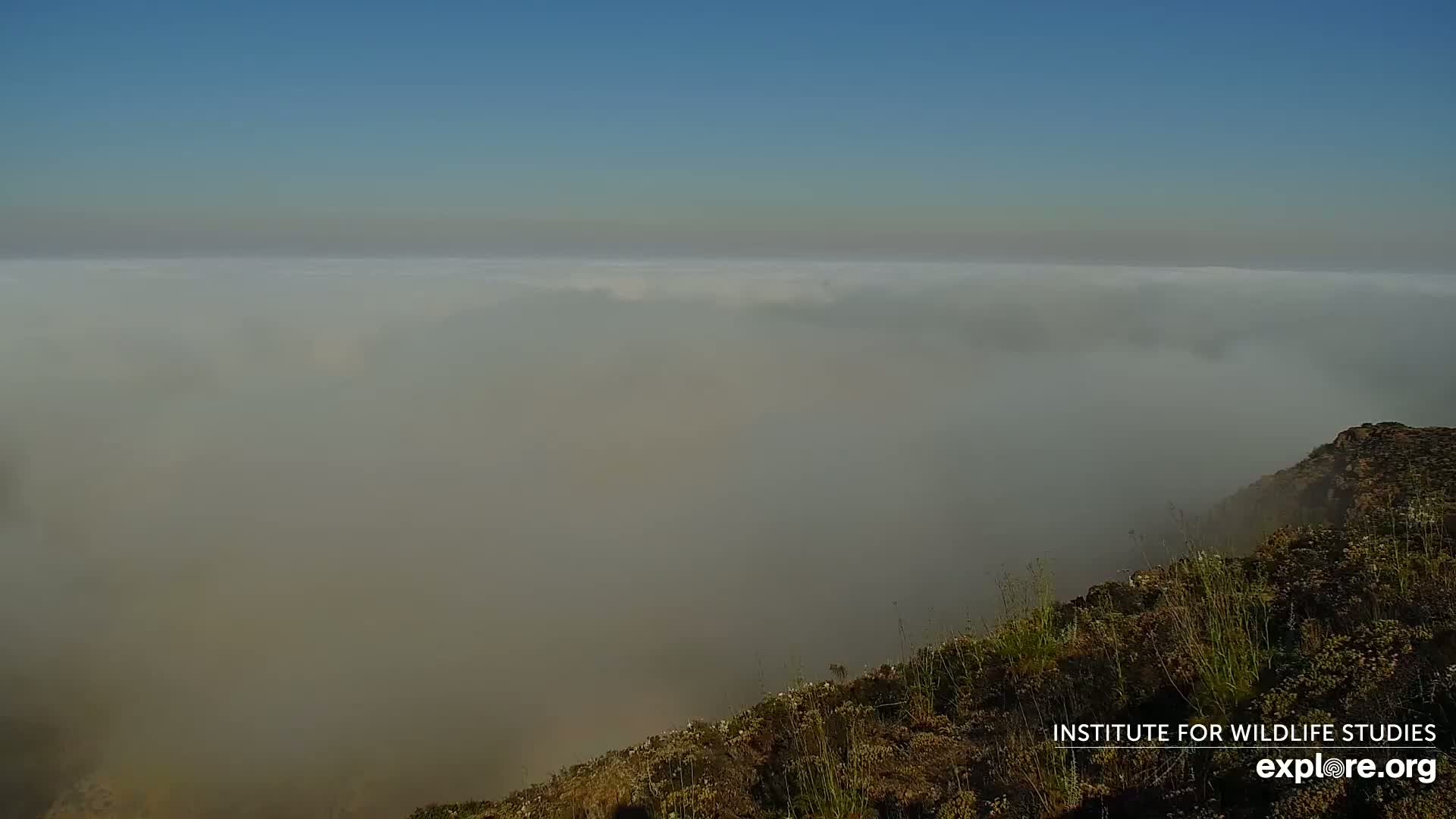 Santa Paula, Channel Islands & Pasific View from Santa Paula Peak & Last Change Trail Live Cam - Santa Paula, Ventura, California, USA