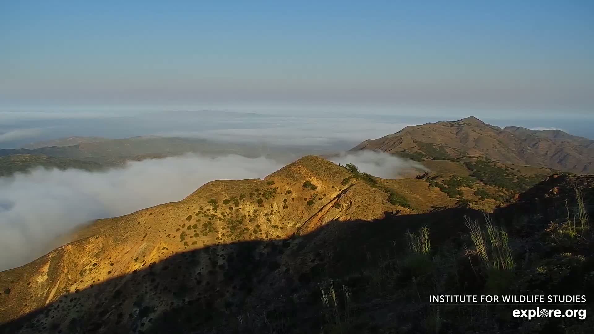 A sunlit mountain ridge overlooks a valley shrouded in fog under a clear blue sky.