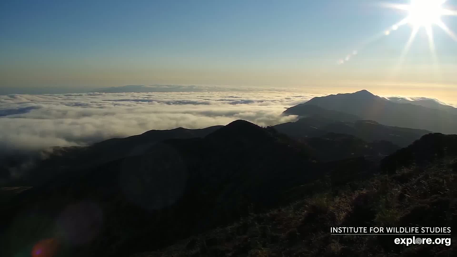 Santa Paula, Channel Islands & Pasific View from Santa Paula Peak & Last Change Trail Live Cam - Santa Paula, Ventura, California, USA