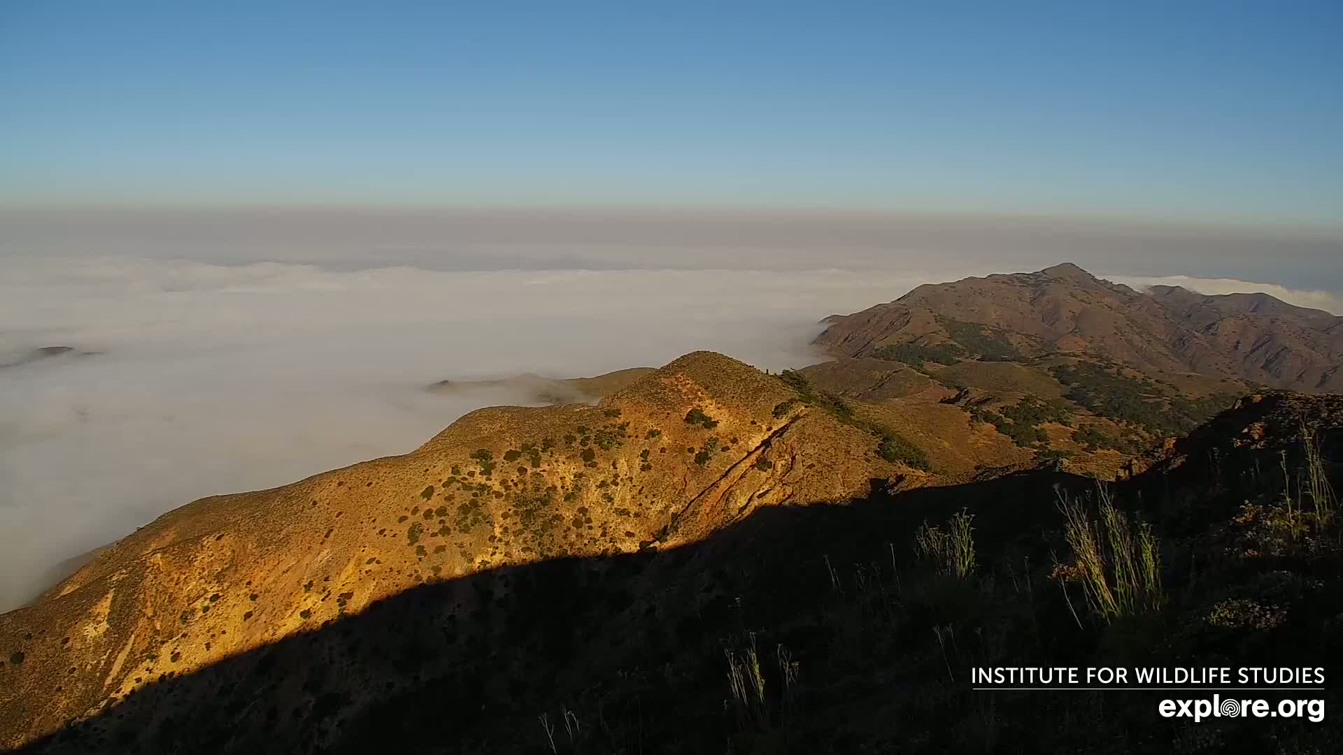 Santa Paula, Channel Islands & Pasific View from Santa Paula Peak & Last Change Trail Live Cam - Santa Paula, Ventura, California, USA