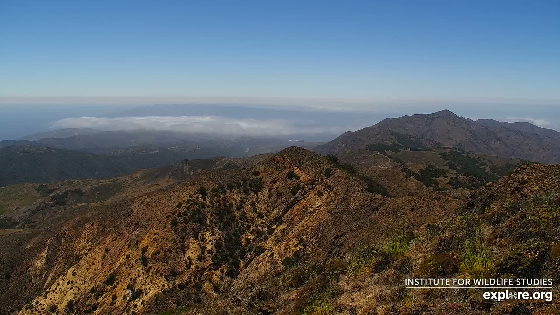 Santa Paula, Channel Islands & Pasific View from Santa Paula Peak & Last Change Trail Live Cam - Santa Paula, Ventura, California, USA
