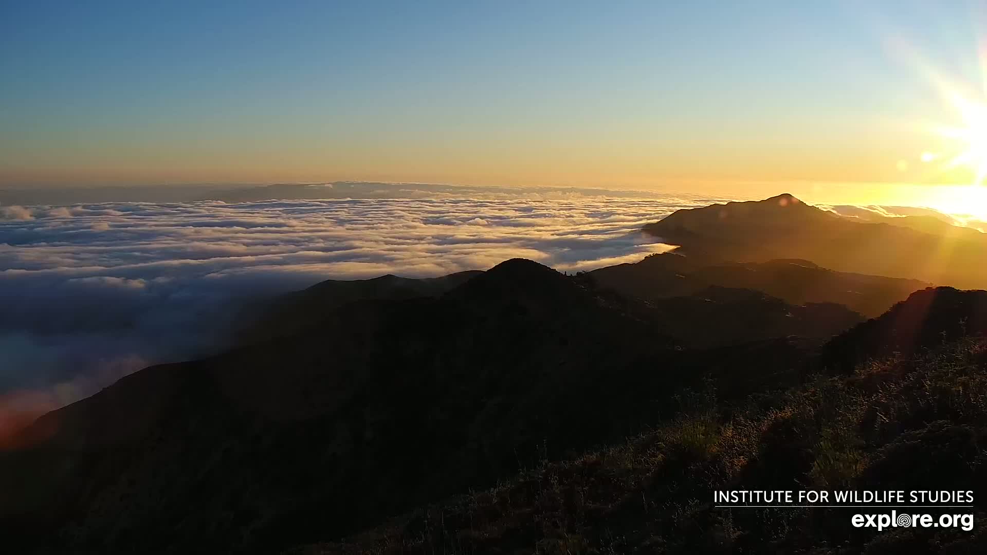 Santa Paula, Channel Islands & Pasific View from Santa Paula Peak & Last Change Trail Live Cam - Santa Paula, Ventura, California, USA