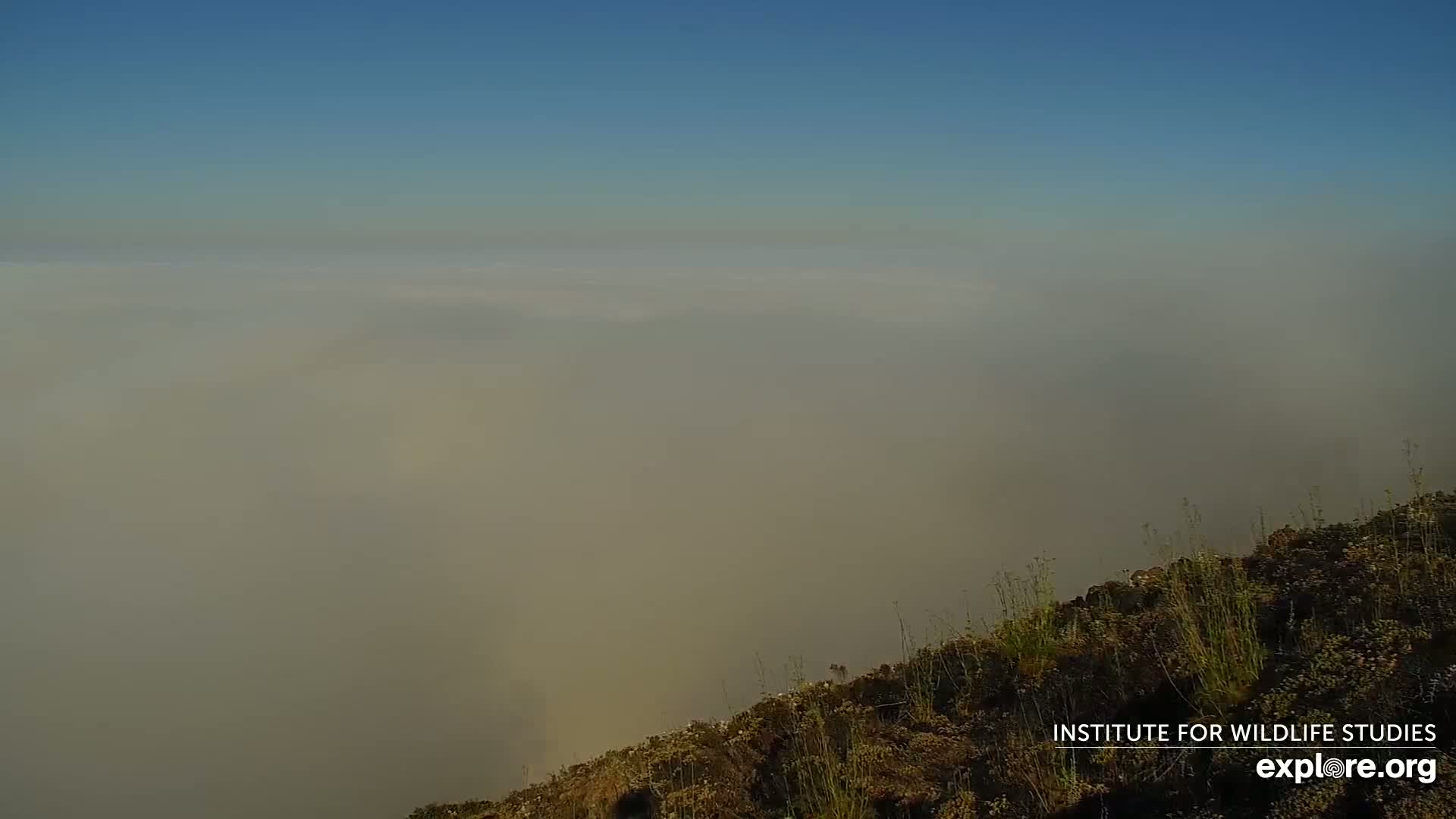 Santa Paula, Channel Islands & Pasific View from Santa Paula Peak & Last Change Trail Live Cam - Santa Paula, Ventura, California, USA