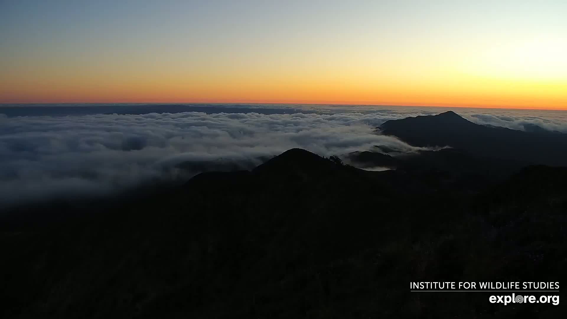 Santa Paula, Channel Islands & Pasific View from Santa Paula Peak & Last Change Trail Live Cam - Santa Paula, Ventura, California, USA