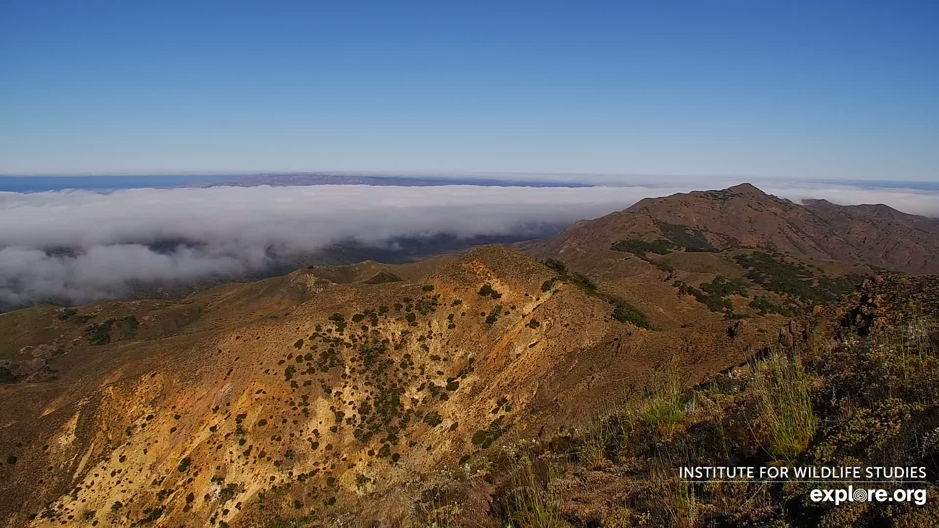 Santa Paula, Channel Islands & Pasific View from Santa Paula Peak & Last Change Trail Live Cam - Santa Paula, Ventura, California, USA