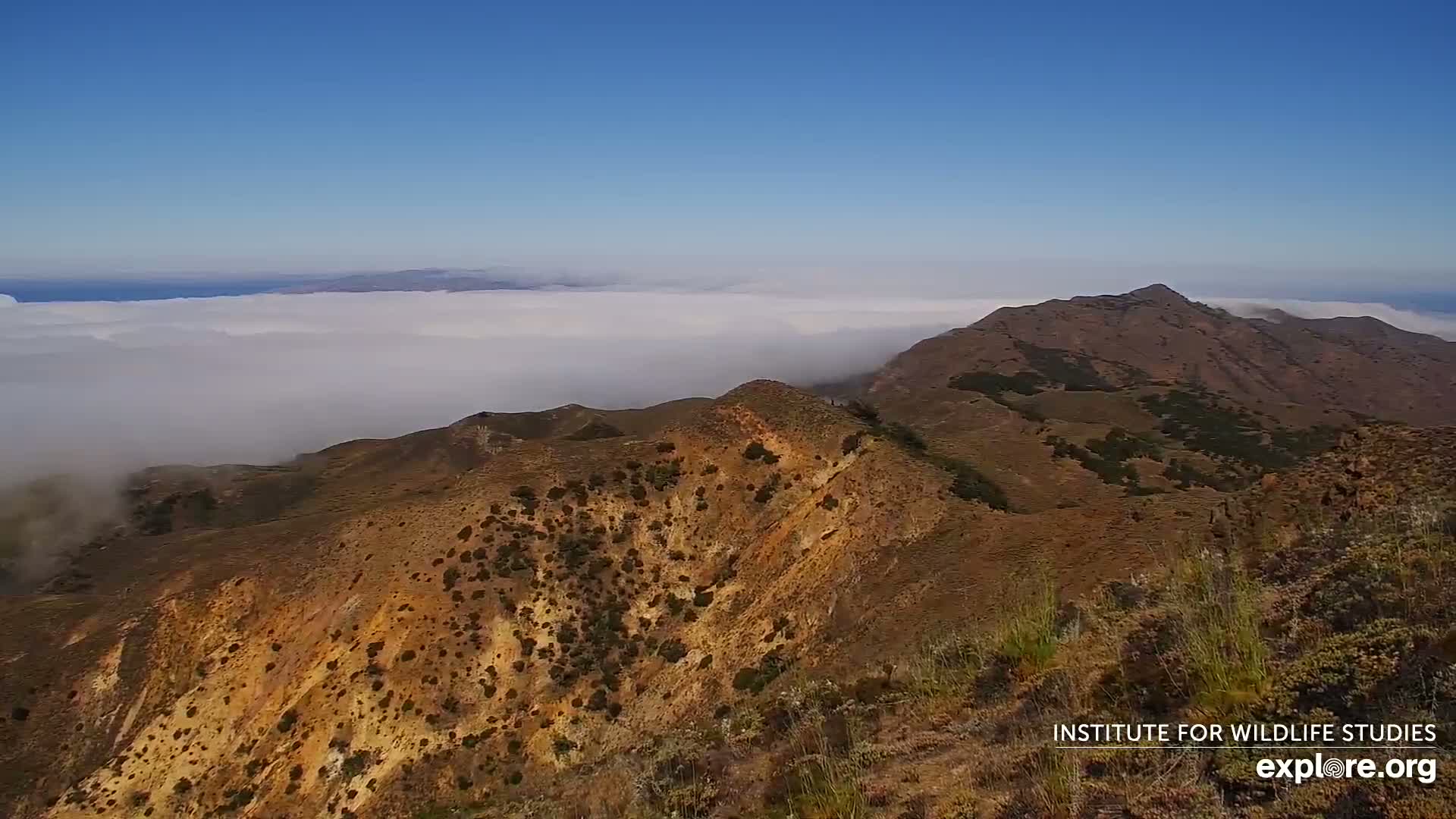 Santa Paula, Channel Islands & Pasific View from Santa Paula Peak & Last Change Trail Live Cam - Santa Paula, Ventura, California, USA