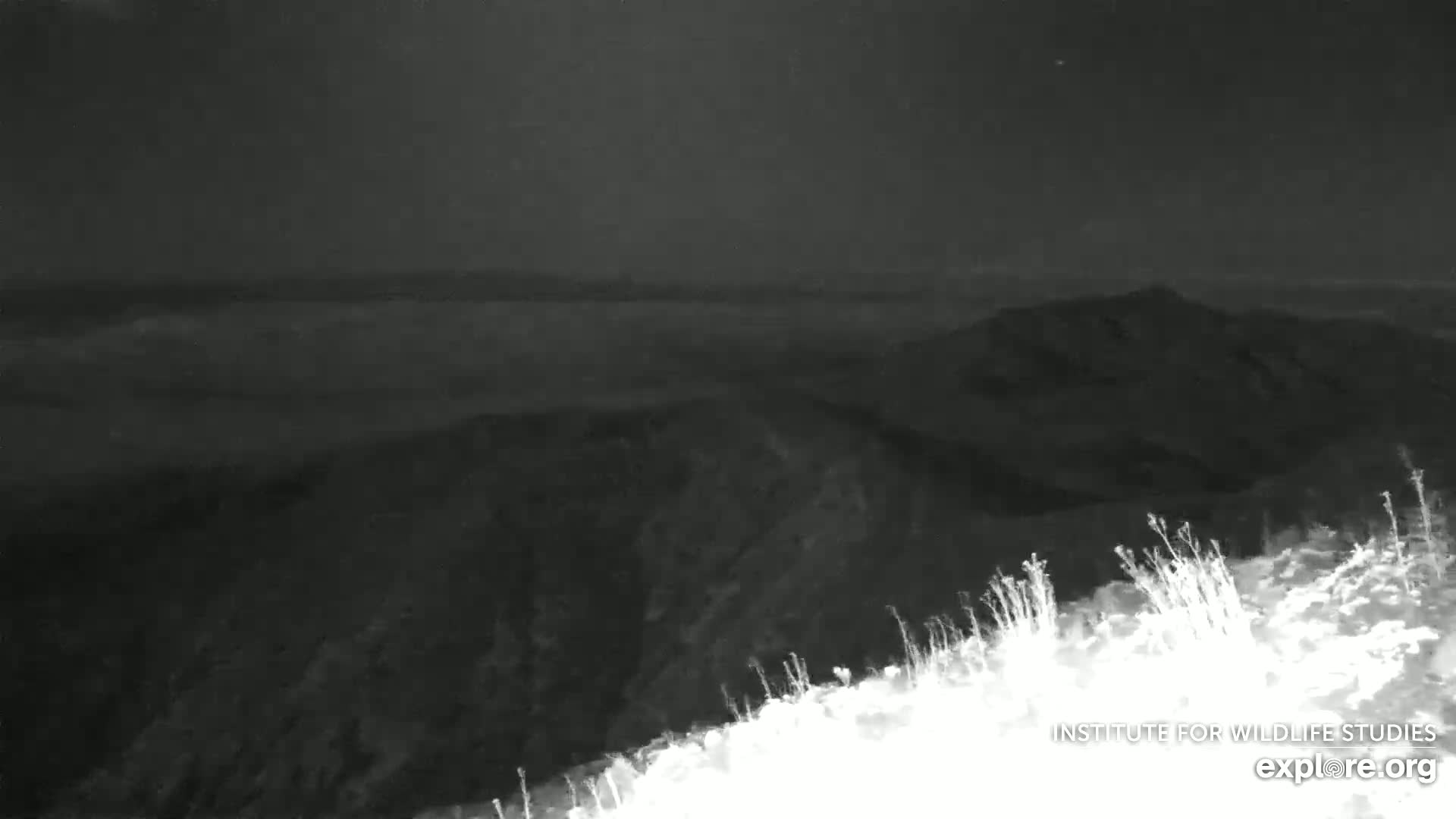 Santa Paula, Channel Islands & Pasific View from Santa Paula Peak & Last Change Trail Live Cam - Santa Paula, Ventura, California, USA