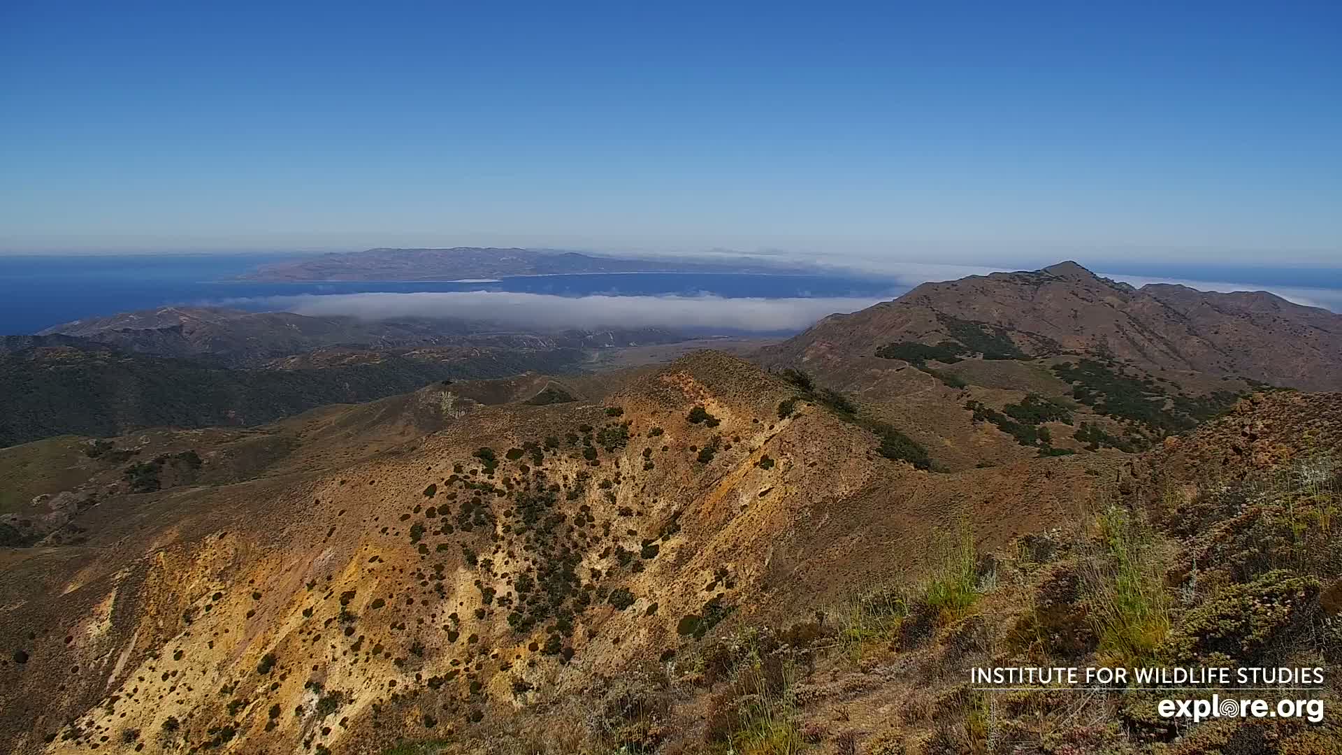 Santa Paula, Channel Islands & Pasific View from Santa Paula Peak & Last Change Trail Live Cam - Santa Paula, Ventura, California, USA
