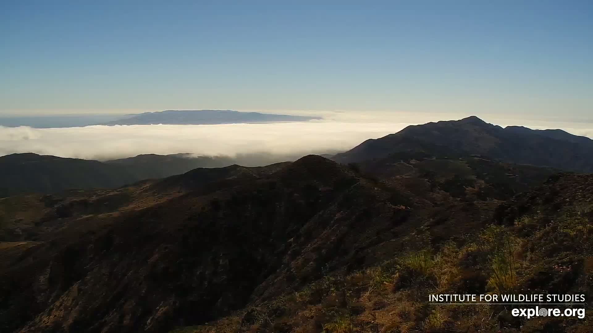 Santa Paula, Channel Islands & Pasific View from Santa Paula Peak & Last Change Trail Live Cam - Santa Paula, Ventura, California, USA