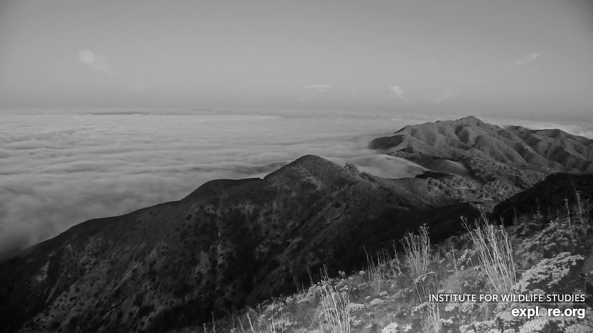 Santa Paula, Channel Islands & Pasific View from Santa Paula Peak & Last Change Trail Live Cam - Santa Paula, Ventura, California, USA