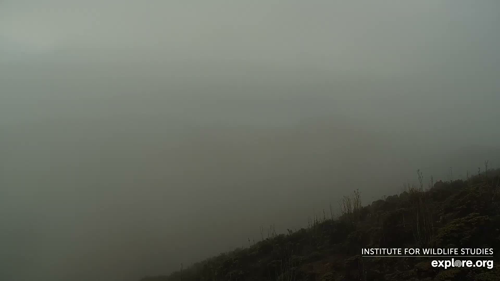 Santa Paula, Channel Islands & Pasific View from Santa Paula Peak & Last Change Trail Live Cam - Santa Paula, Ventura, California, USA