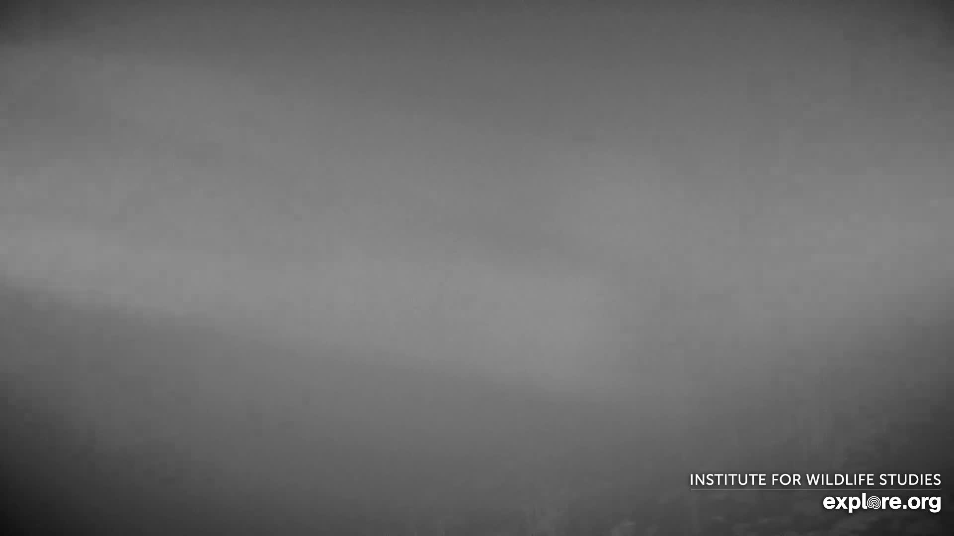 Santa Paula, Channel Islands & Pasific View from Santa Paula Peak & Last Change Trail Live Cam - Santa Paula, Ventura, California, USA