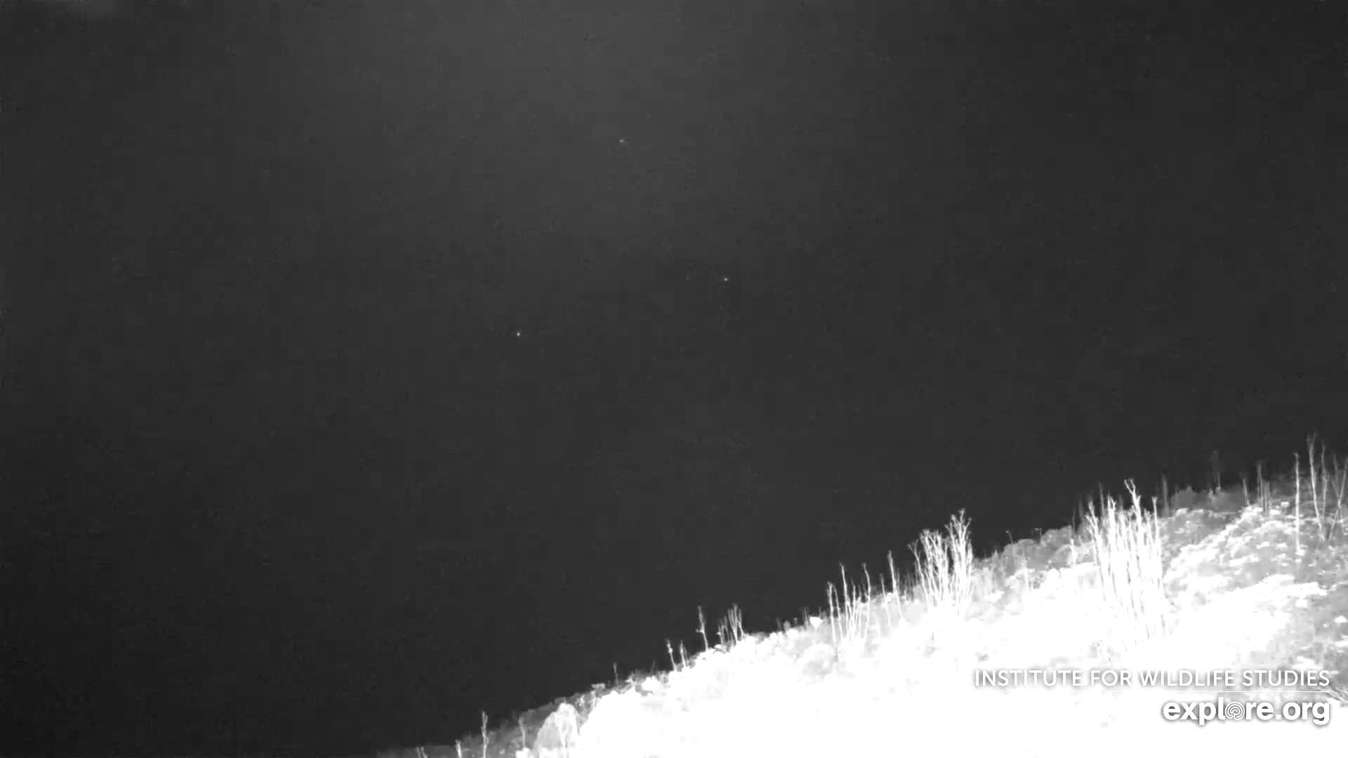 Santa Paula, Channel Islands & Pasific View from Santa Paula Peak & Last Change Trail Live Cam - Santa Paula, Ventura, California, USA