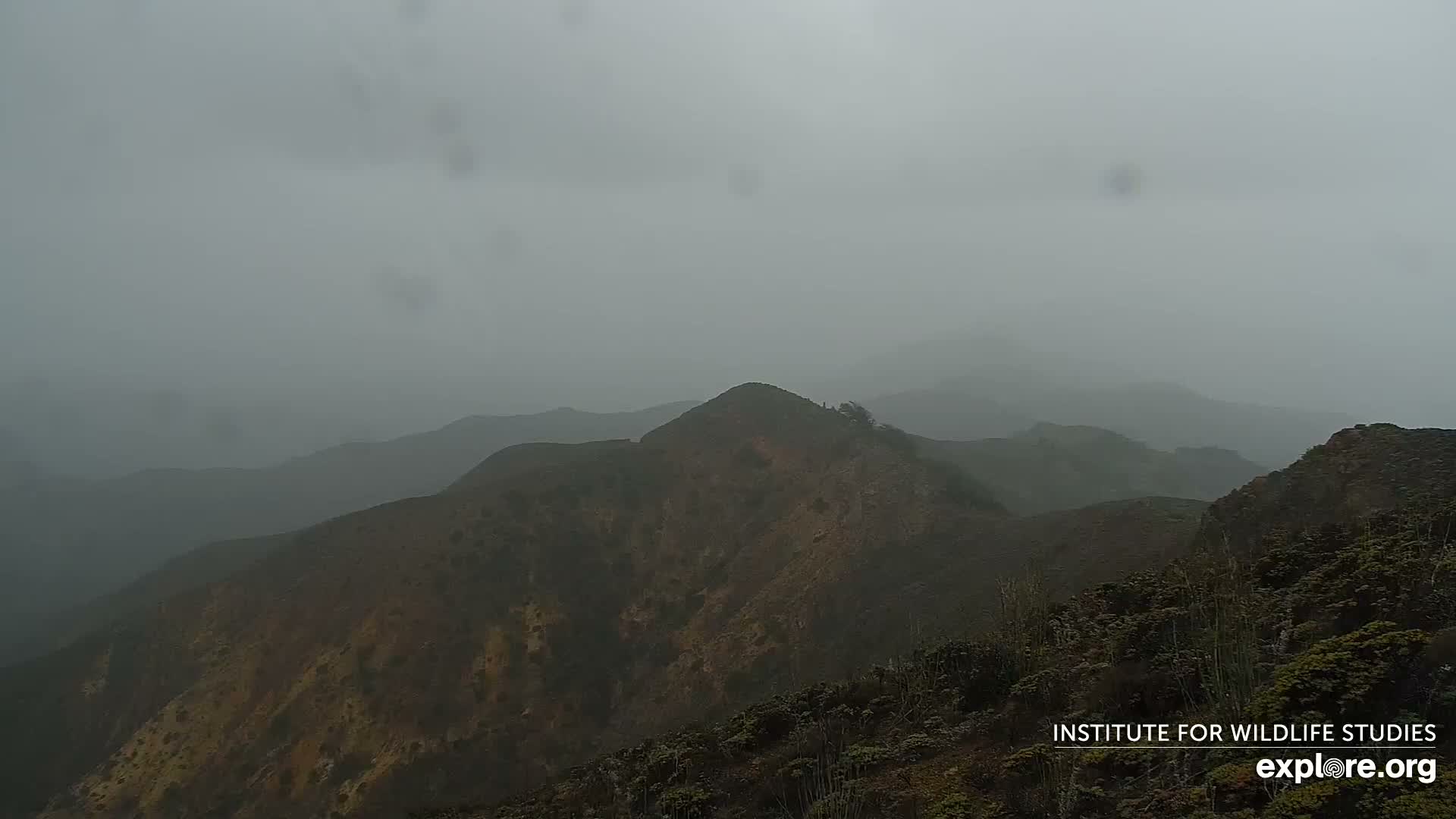 Santa Paula, Channel Islands & Pasific View from Santa Paula Peak & Last Change Trail Live Cam - Santa Paula, Ventura, California, USA