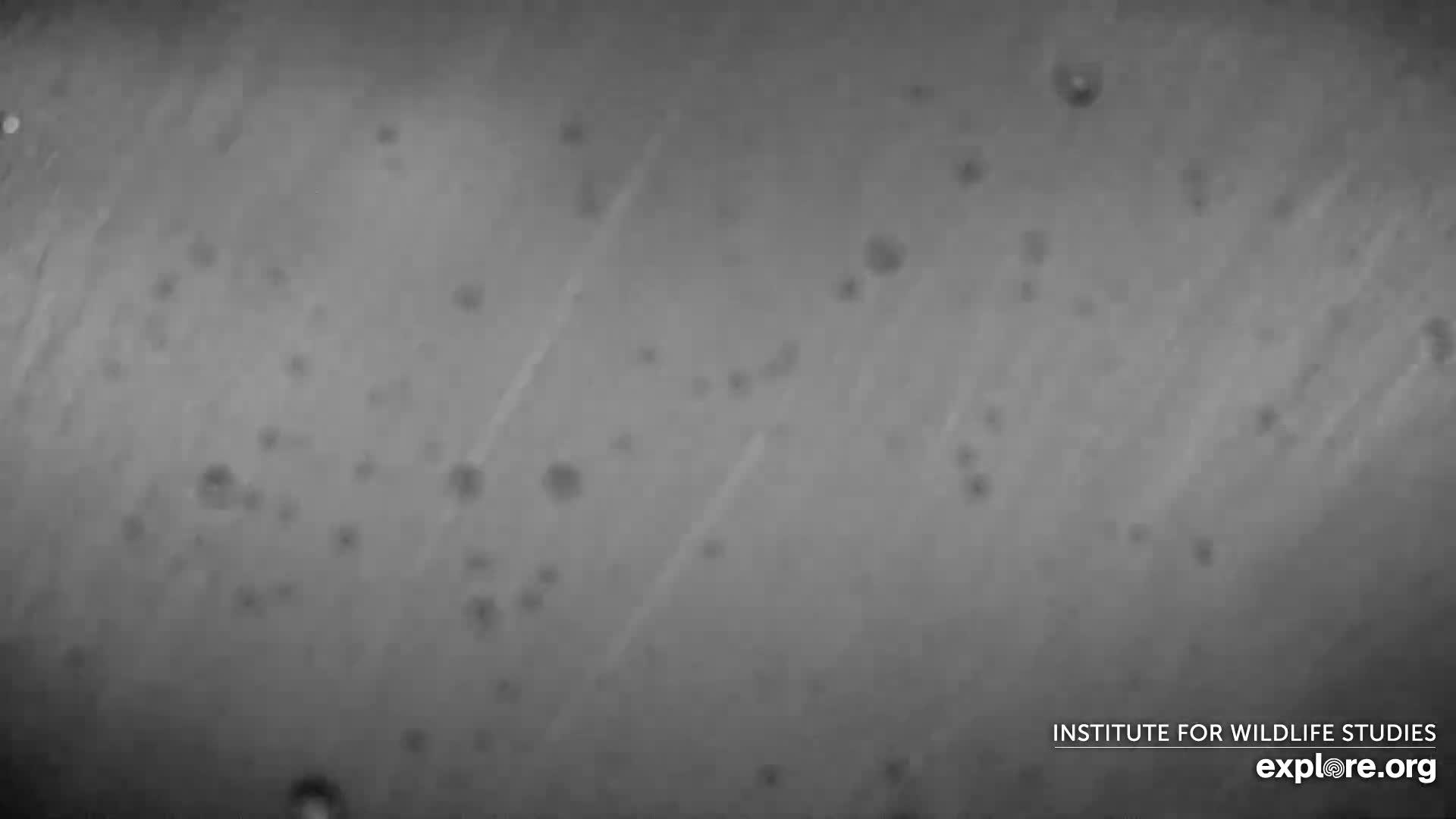 Santa Paula, Channel Islands & Pasific View from Santa Paula Peak & Last Change Trail Live Cam - Santa Paula, Ventura, California, USA