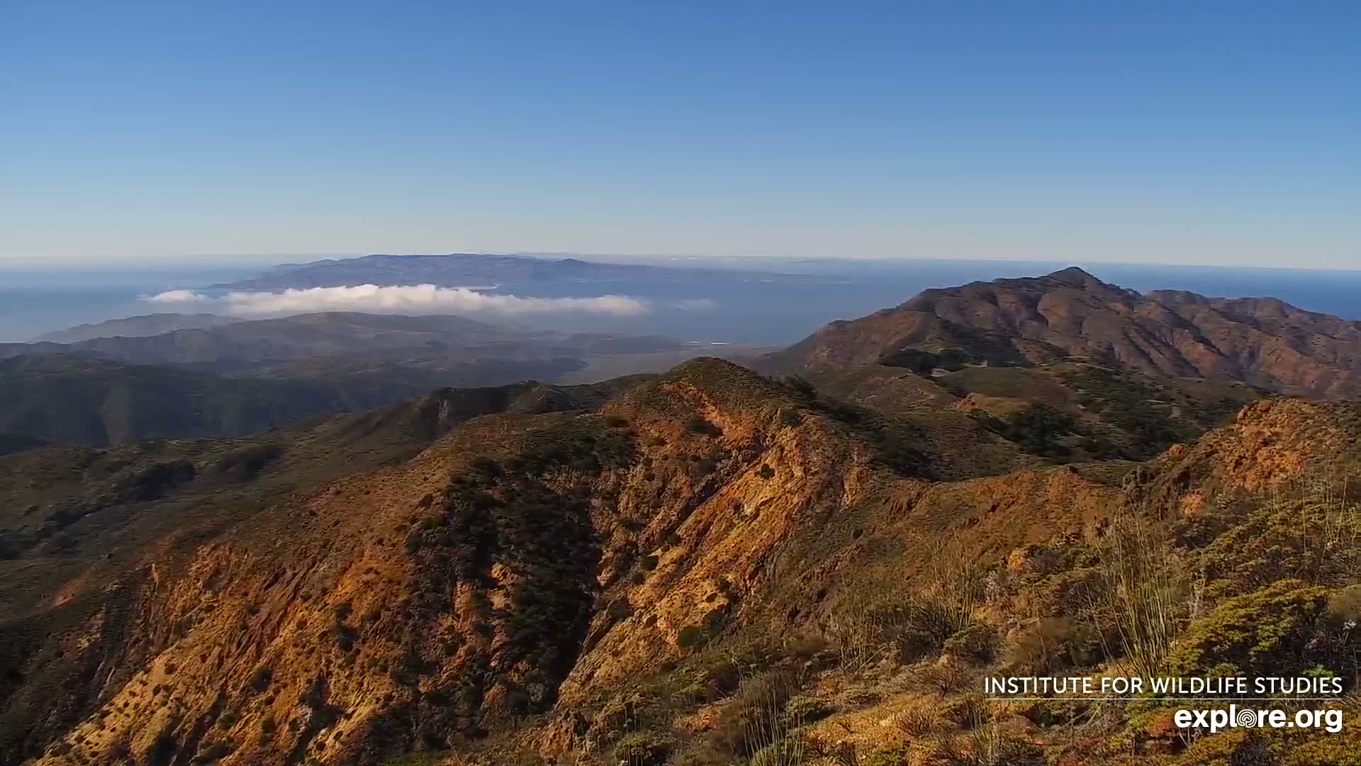 Santa Paula, Channel Islands & Pasific View from Santa Paula Peak & Last Change Trail Live Cam - Santa Paula, Ventura, California, USA