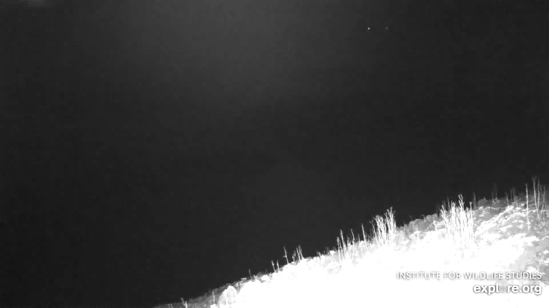 Santa Paula, Channel Islands & Pasific View from Santa Paula Peak & Last Change Trail Live Cam - Santa Paula, Ventura, California, USA