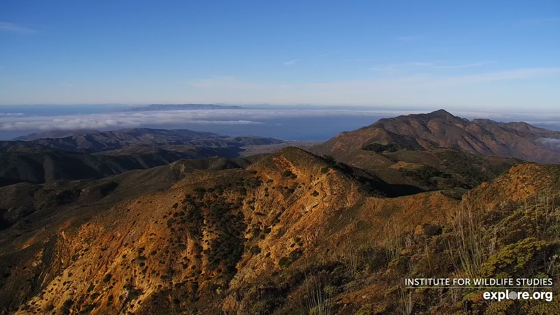 Santa Paula, Channel Islands & Pasific View from Santa Paula Peak & Last Change Trail Live Cam - Santa Paula, Ventura, California, USA