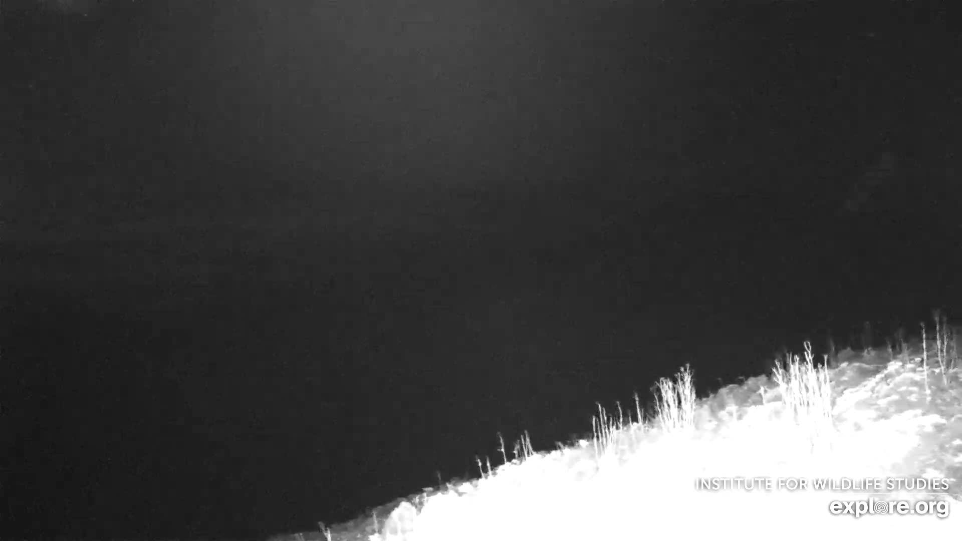 Santa Paula, Channel Islands & Pasific View from Santa Paula Peak & Last Change Trail Live Cam - Santa Paula, Ventura, California, USA