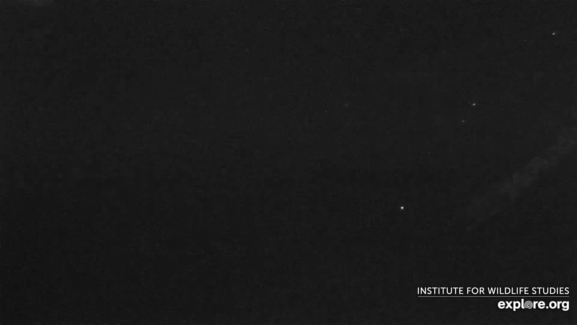 Santa Paula, Channel Islands & Pasific View from Santa Paula Peak & Last Change Trail Live Cam - Santa Paula, Ventura, California, USA