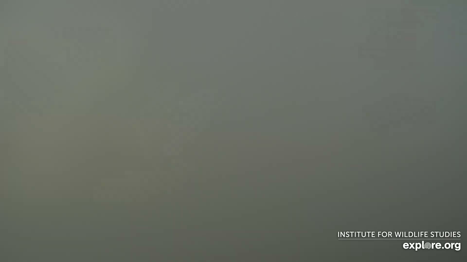 Santa Paula, Channel Islands & Pasific View from Santa Paula Peak & Last Change Trail Live Cam - Santa Paula, Ventura, California, USA