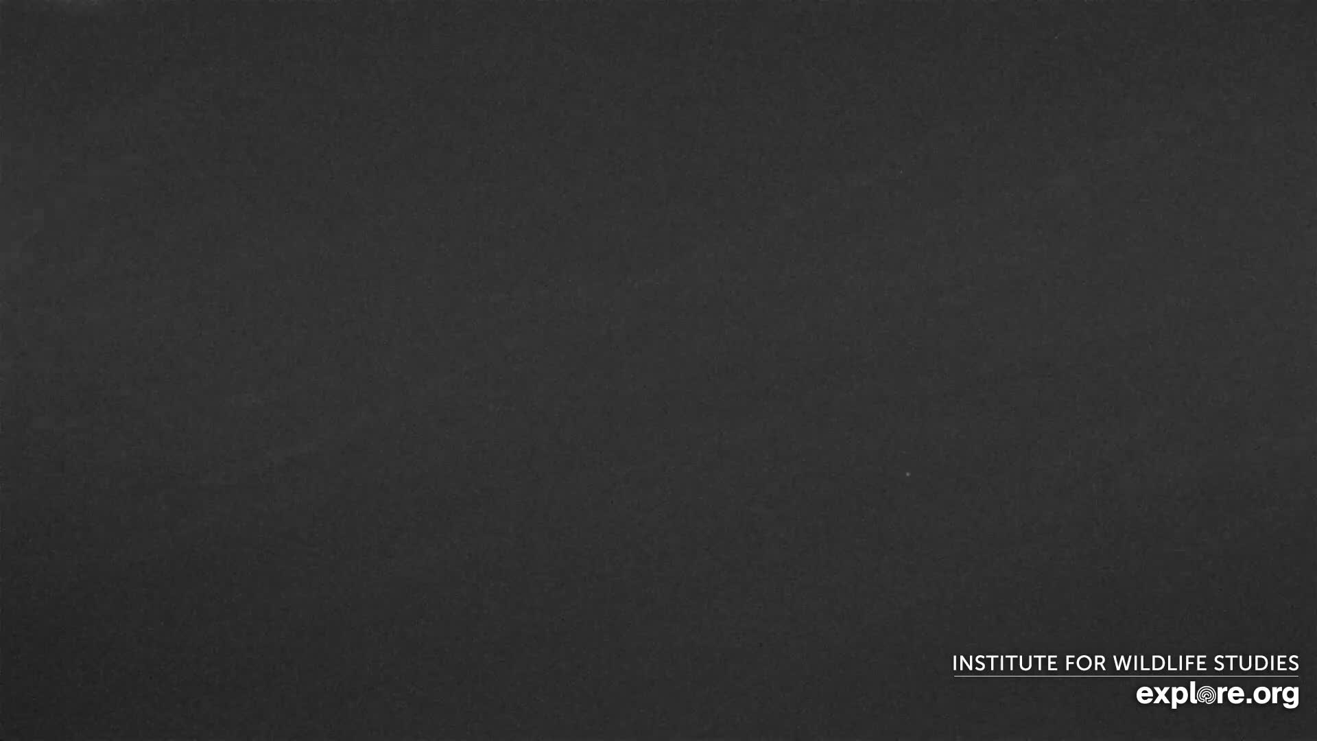 Santa Paula, Channel Islands & Pasific View from Santa Paula Peak & Last Change Trail Live Cam - Santa Paula, Ventura, California, USA